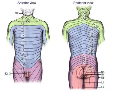 Sacroiliac Joint,