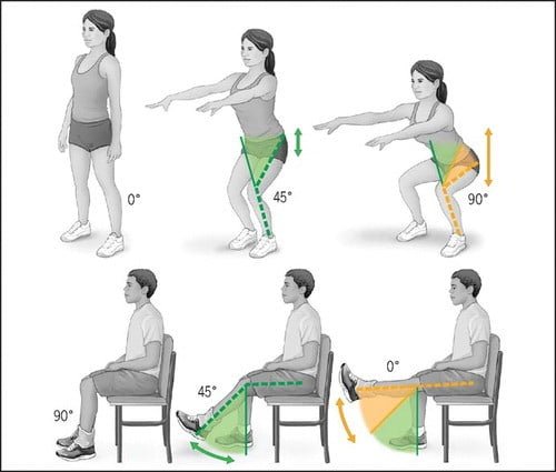 Exercise