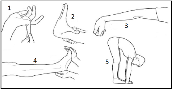 exercise3